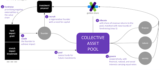 Regenerative Methodology Flowchart